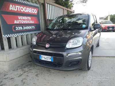 Usata Fiat Panda Easy 69 CV (50 kW) 2018 Grigio Utilitaria