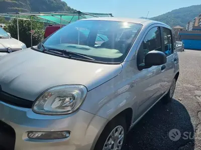 Usata Fiat Panda Lounge 69 CV (50 kW) 2018 Grigio Utilitaria