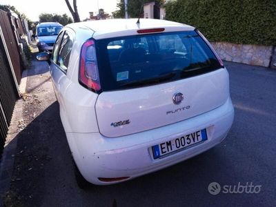 usata Fiat Punto Evo - 2012