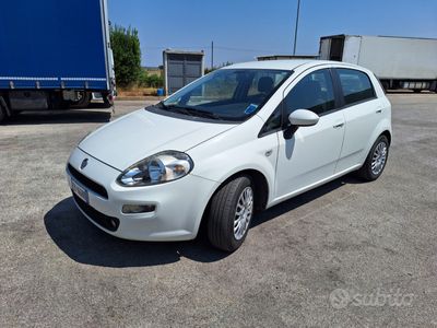 usata Fiat Punto neopatentati