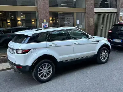 Usata Land Rover Range Rover evoque 150 CV (110 kW) 2016 Bianco SUV