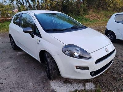 Usata Fiat Punto Young 75 CV (55 kW) 2014 Berlina