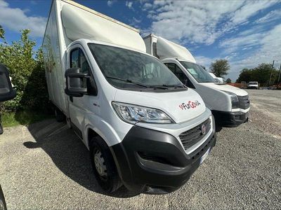 Usata Fiat Ducato 131 CV (96 kW) 2018 Bianco Furgone