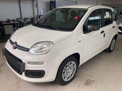 Nuova Fiat Panda Icon 69 CV (50 kW) 2025 Bianco Utilitaria