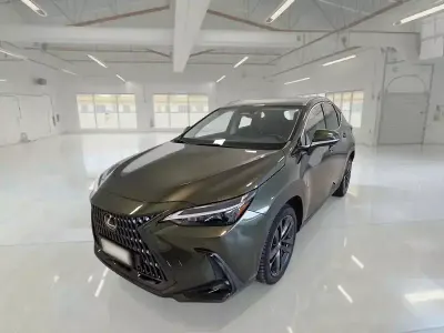 Usata Lexus NX350h 190 CV (139 kW) 2023 Verde SUV