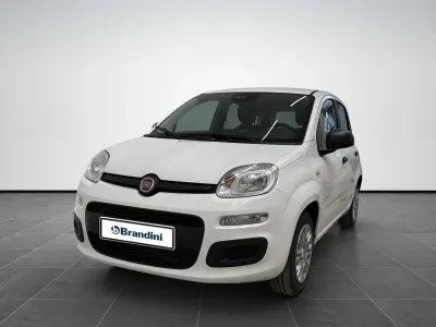 Nuova Fiat Panda Icon 65 CV (47 kW) 2026 Bianco Utilitaria