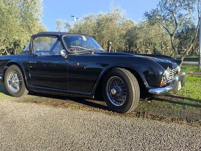 usata Triumph TR4 TR6 149 CV- ASI - ANNO 1963 - GUIDA DX