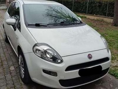Usata Fiat Punto Easy 69 CV (50 kW) 2013 Bianco Utilitaria