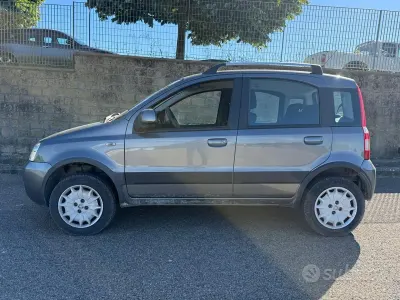 Usata Fiat Panda 4x4 60 CV (44 kW) 2009 Grigio Utilitaria