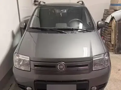 Usata Fiat Panda 4x4 69 CV (50 kW) 2011 Grigio Utilitaria