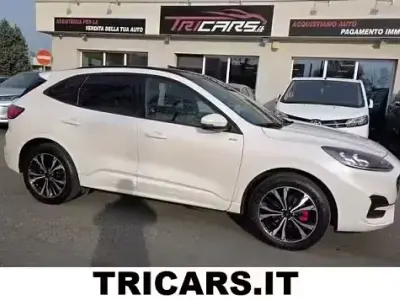 Usata Ford Kuga ST-Line X 152 CV (111 kW) 2023 Bianco SUV