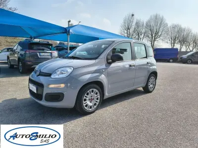 Usata Fiat Panda S 69 CV (50 kW) 2021 Grigio Utilitaria