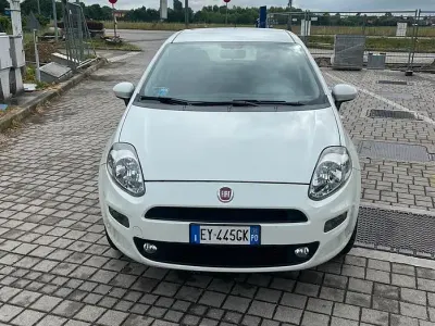 Usado Fiat Punto 70 CV (51 kW) 2015 Blanco Utilitario