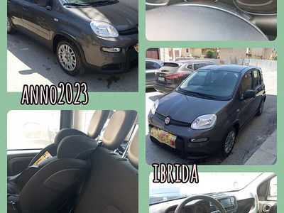 Usata Fiat Panda 70 CV (51 kW) 2023 Grigio Utilitaria
