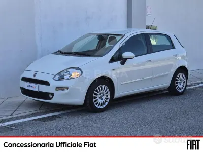 Usata Fiat Punto Pop 69 CV (50 kW) 2013 Bianco Utilitaria