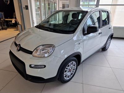 Usata Fiat Panda 70 CV (51 kW) 2022 Bianco Utilitaria