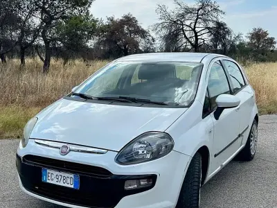 Usata Fiat Punto Evo 75 CV (55 kW) 2011 Bianco Utilitaria