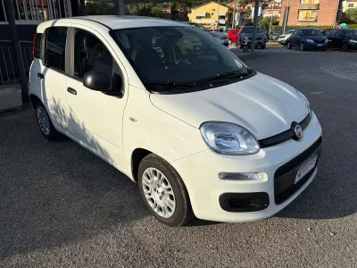 Usata Fiat Panda Icon 65 CV (47 kW) 2025 Bianco Utilitaria