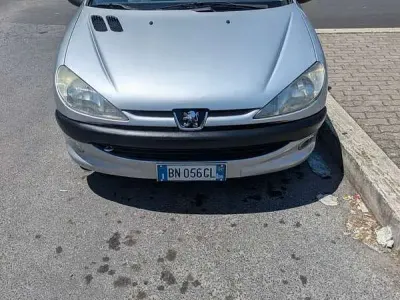 Usata Peugeot 206