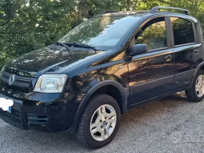 Usata Fiat Panda 4x4 69 CV (50 kW) 2007 Utilitaria