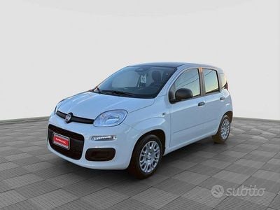 Nuova Fiat Panda Icon 65 CV (47 kW) 2025 Bianco Utilitaria