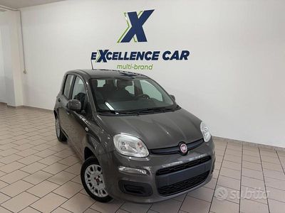 Usata Fiat Panda Easy 69 CV (50 kW) 2020 Grigio Utilitaria