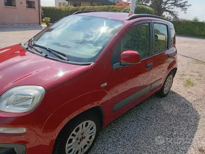 Usata Fiat Panda Lounge 69 CV (50 kW) 2012 Rosso Utilitaria