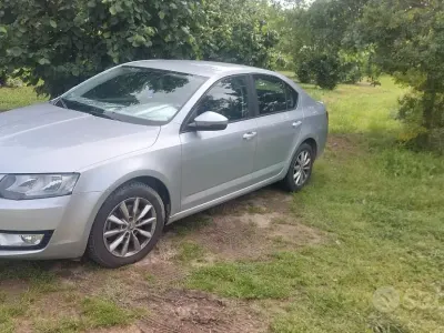 Usata Skoda Octavia Ambition 105 CV (77 kW) 2013 Grigio Berlina