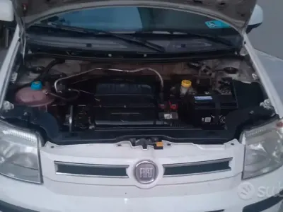 Usata Fiat Panda 77 CV (56 kW) 2011 Bianco Utilitaria