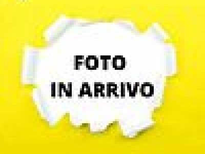 usata Seat Arona 1.0 TGI Black Edition del 2020 usata a Rovigo