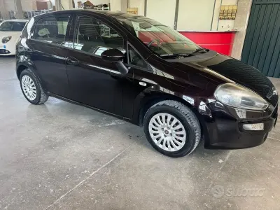 Usata Fiat Punto Evo Active 69 CV (50 kW) 2011 Other Utilitaria