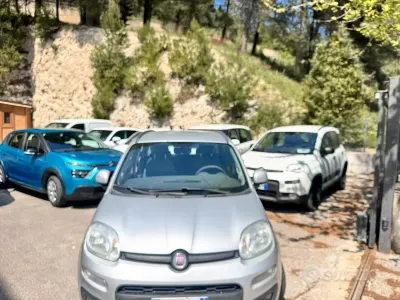Usata Fiat Panda Easy 80 CV (58 kW) 2014 Grigio Utilitaria
