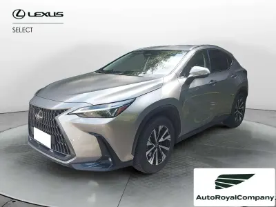 Usata Lexus NX300h 243 CV (178 kW) 2022 Grigio SUV