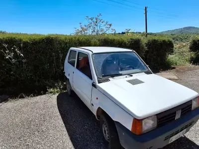 Usata Fiat Panda