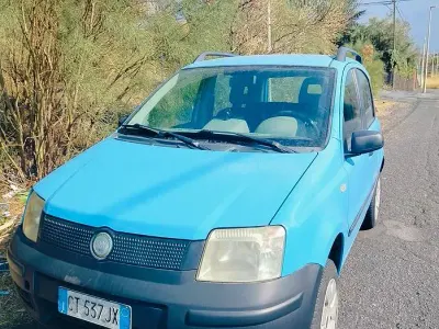 Usata Fiat Panda 4x4 60 CV (44 kW) 2006 Bluazzurro Utilitaria