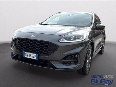 Usata Ford Kuga ST-Line 150 CV (110 kW) 2023 Grigio SUV