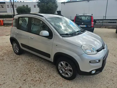 Usata Fiat Panda 4x4 S 95 CV (69 kW) 2016 Argento Utilitaria