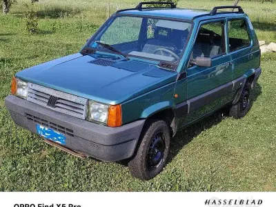 Usata Fiat Panda 4x4