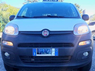 usata Fiat Panda Cross 1.3 mjt 16v 4x4 80cv