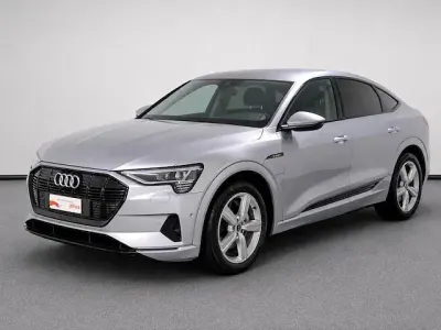 Usata Audi e-tron