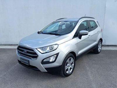 usata Ford Ecosport 1.0 EcoBoost 125 CV Automatica S&S Business