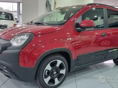 Usata Fiat Panda S 70 CV (51 kW) 2024 Rosso Utilitaria