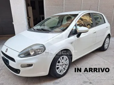Usata Fiat Punto Lounge 85 CV (62 kW) 2013 Bianco Utilitaria