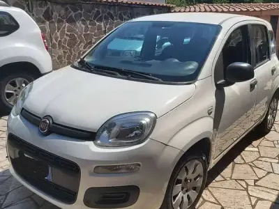 Usata Fiat Panda Young 69 CV (50 kW) 2016 Bianco Utilitaria