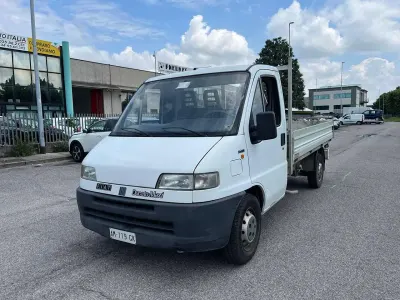 Usata Fiat Ducato 116 CV (85 kW) 1996 Bianco Furgone