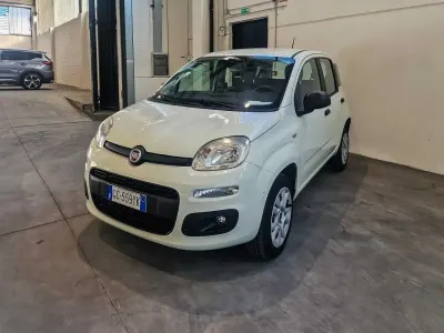 Occasion Fiat Panda Easy 71 ch (52 kW) 2020 Blanc Citadine
