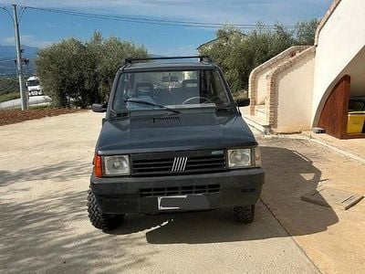 Usata Fiat Panda 4x4 54 CV (39 kW) 1996 Grigio Utilitaria