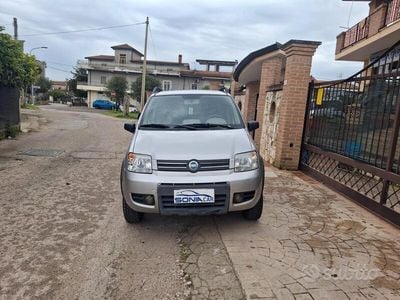 Usata Fiat Panda 4x4 Climbing 69 CV (50 kW) 2006 Argento Utilitaria