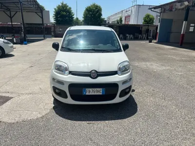 Usata Fiat Panda