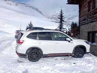 Usata Subaru Forester 4dventure 150 CV (110 kW) 2021 Bianco SUV